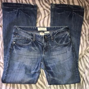 Maurices Jeans